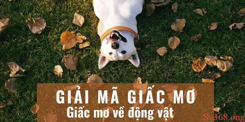 Giải mã giấc mơ nhiều con vật